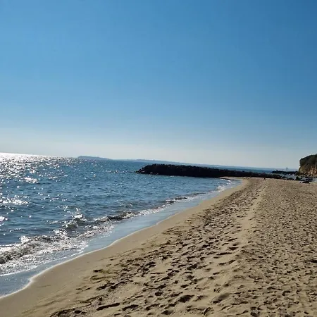 Golden Lady Apartment *