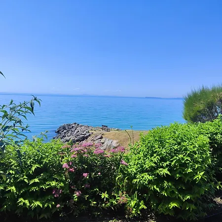 Golden Lady * Sveti Vlas