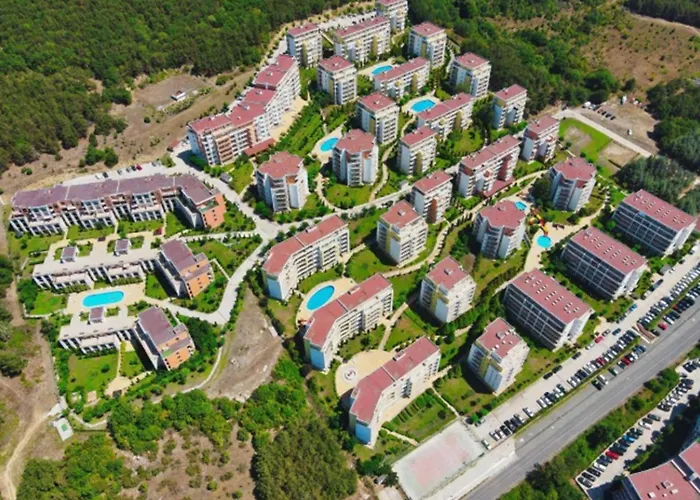 Golden Lady 圣弗拉斯