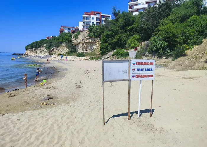 Golden Lady 圣弗拉斯