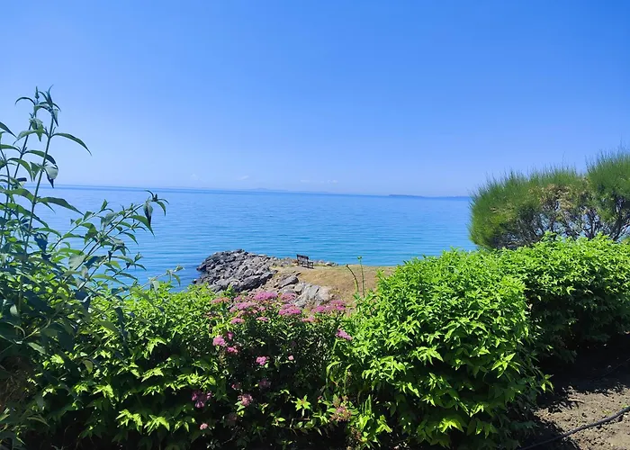 Golden Lady * 圣弗拉斯